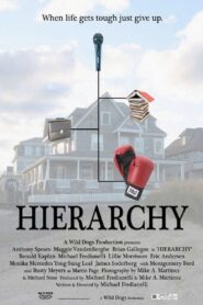 Hierarchy 2009 on netflix