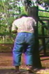 Los amos 1986 on netflix