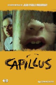 Capillus 2006 on netflix