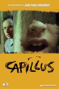 Capillus 2006 on netflix