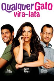 Any Stray Cat 2011 on netflix