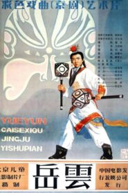 岳云 1984 on netflix