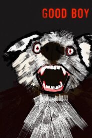 Good Boy 2022 on netflix