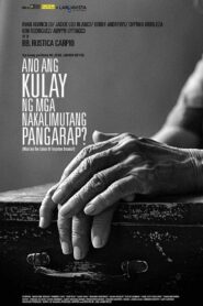Ano ang Kulay ng mga Nakalimutang Pangarap? 2013 on netflix