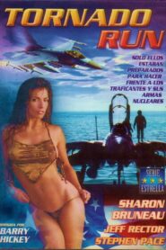 Tornado Run 1995 on netflix