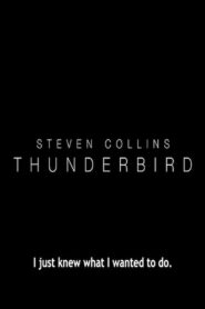 Thunderbird 2017 on netflix