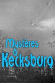 The New Roswell: Kecksburg Exposed 2003 on netflix