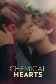 Chemical Hearts 2020 on netflix