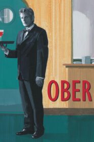 Waiter 2006 on netflix
