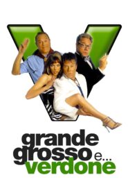 Grande, grosso e… Verdone 2008 on netflix