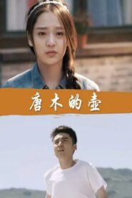 唐木的壶 2016 on netflix