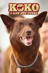 Koko: A Red Dog Story 2019 on netflix