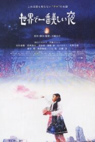 The Most Beautiful Night In The World 2008 on netflix