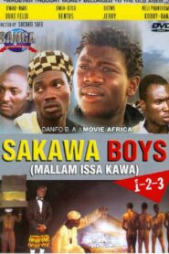 Sakawa Boys 2009 on netflix