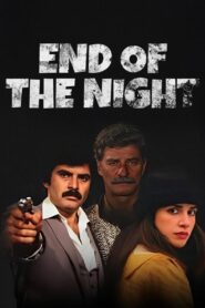 Gecenin Sonu 1983 on netflix
