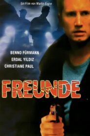 Friends 2000 on netflix