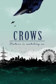 Crows – Nature Is Watching Us 2023 on netflix