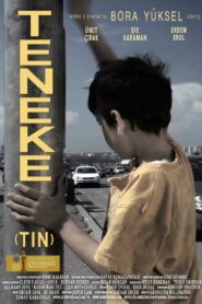 Tin 2010 on netflix