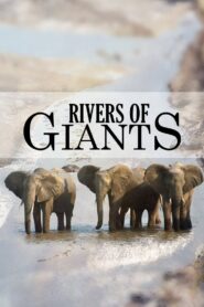 Rivers of Giants 2005 on netflix