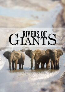 Rivers of Giants 2005 on netflix