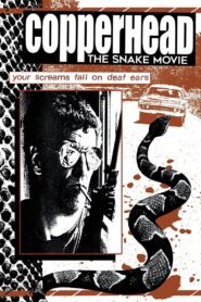 Copperhead 1983 on netflix