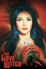 The Love Witch 2016 on netflix