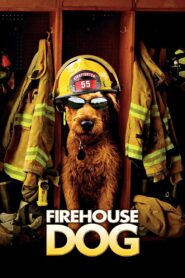 Firehouse Dog 2007 on netflix
