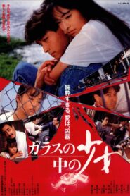 The Girl in Glass 1988 on netflix
