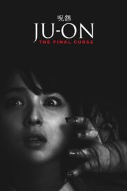 Ju-on: The Final Curse 2015 on netflix