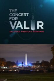 The Concert for Valor 2014 on netflix