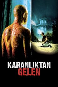 From The Darkness 2007 on netflix