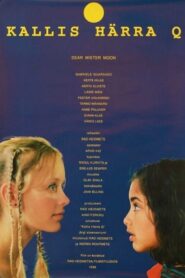 Dear Mister Moon 1998 on netflix
