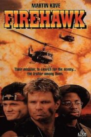 Firehawk 1993 on netflix