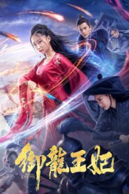 Female Assassin 2019 on netflix
