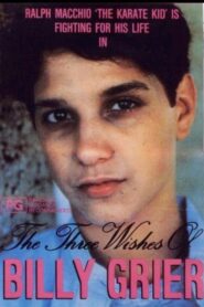 The Three Wishes of Billy Grier 1984 on netflix
