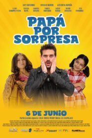 Papá por sorpresa 2024 on netflix