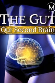 The Gut: Our Second Brain 2014 on netflix
