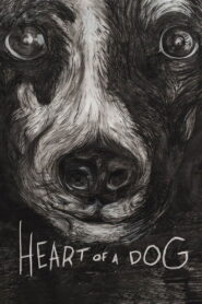 Heart of a Dog 2015 on netflix