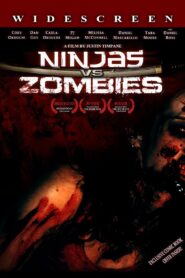 Ninjas vs. Zombies 2008 on netflix