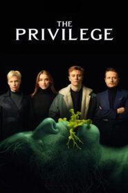 The Privilege 2022 on netflix