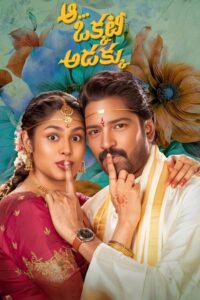 Aa Okkati Adakku 2024 on netflix