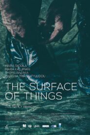 The Surface of Things 2017 on netflix