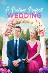 A Picture Perfect Wedding 2021 on netflix