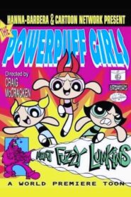 Powerpuff Girls : Meat Fuzzy Lumpkins 1995 on netflix