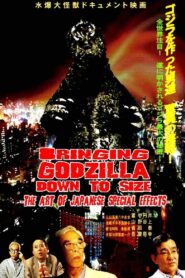 Bringing Godzilla Down to Size: The Art of Japanese Special Effects 2008 on netflix