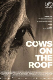 Cows on the Roof 2020 on netflix