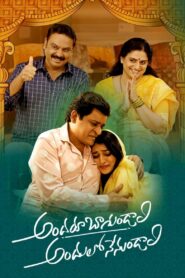 Andaru Bagundali Andulo Nenundali 2022 on netflix