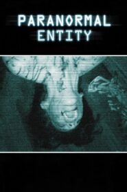 Paranormal Entity 2009 on netflix