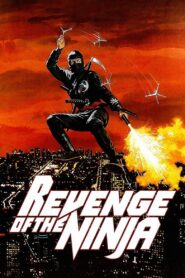 Revenge of the Ninja 1983 on netflix