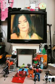 Björk: MTV Unplugged 1994 1994 on netflix